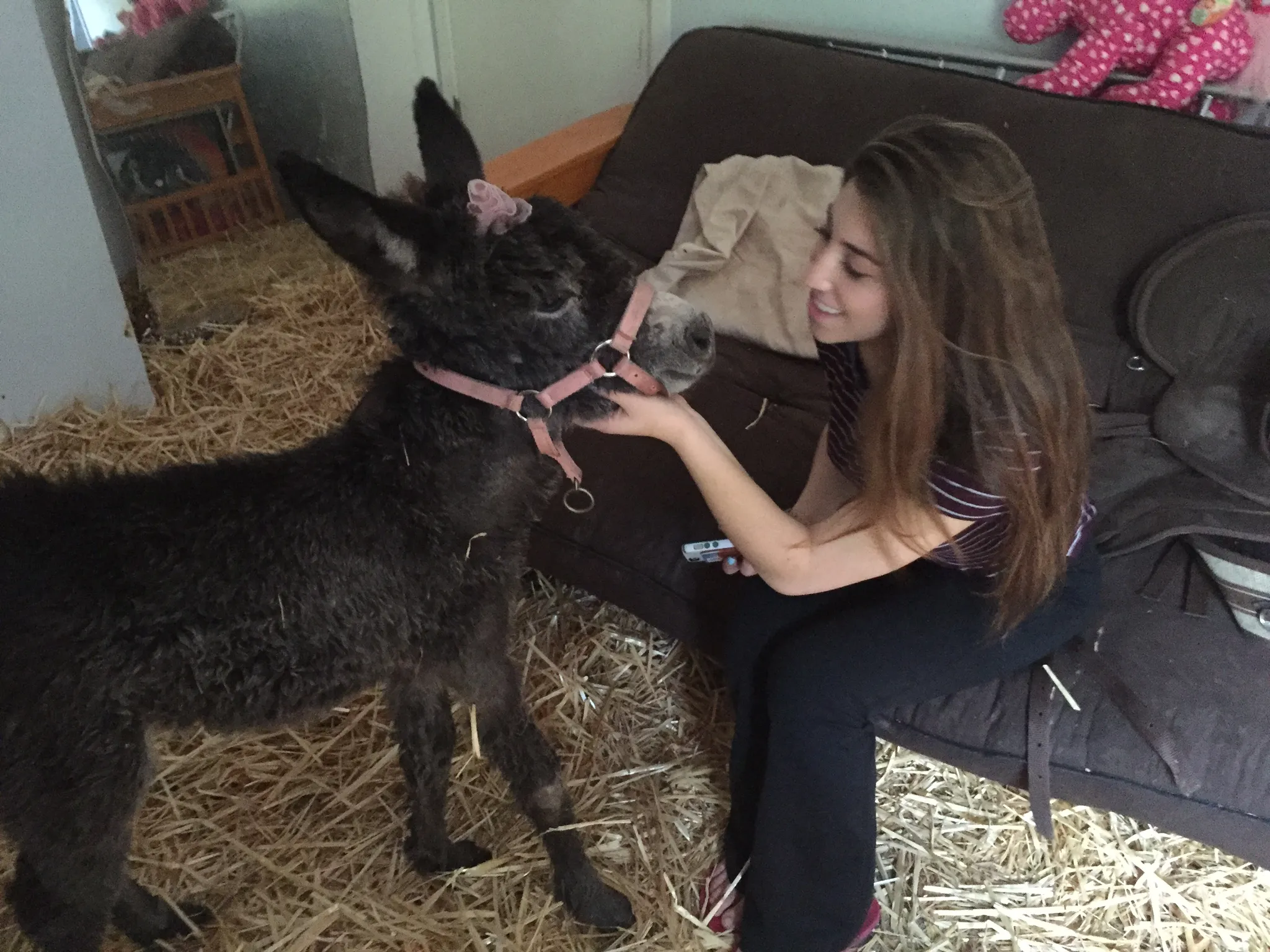 A young woman sitting on a couch on a straw-covered floor, stroking young Myka in her pink halter