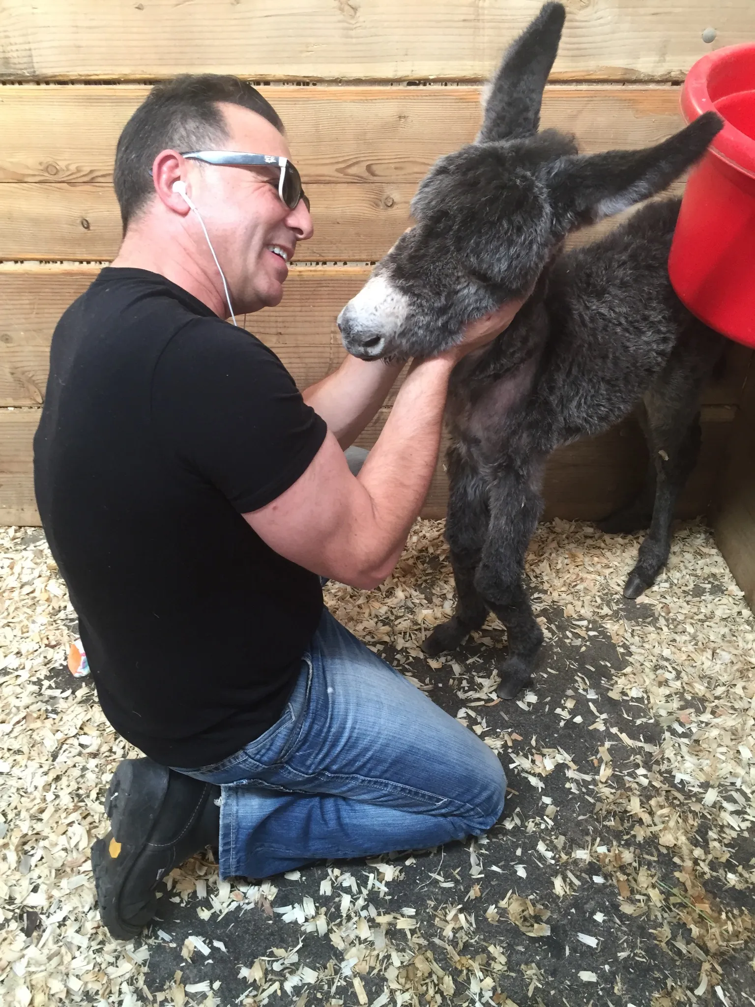 Avi kneeling in the stall, holding young Myka's head
