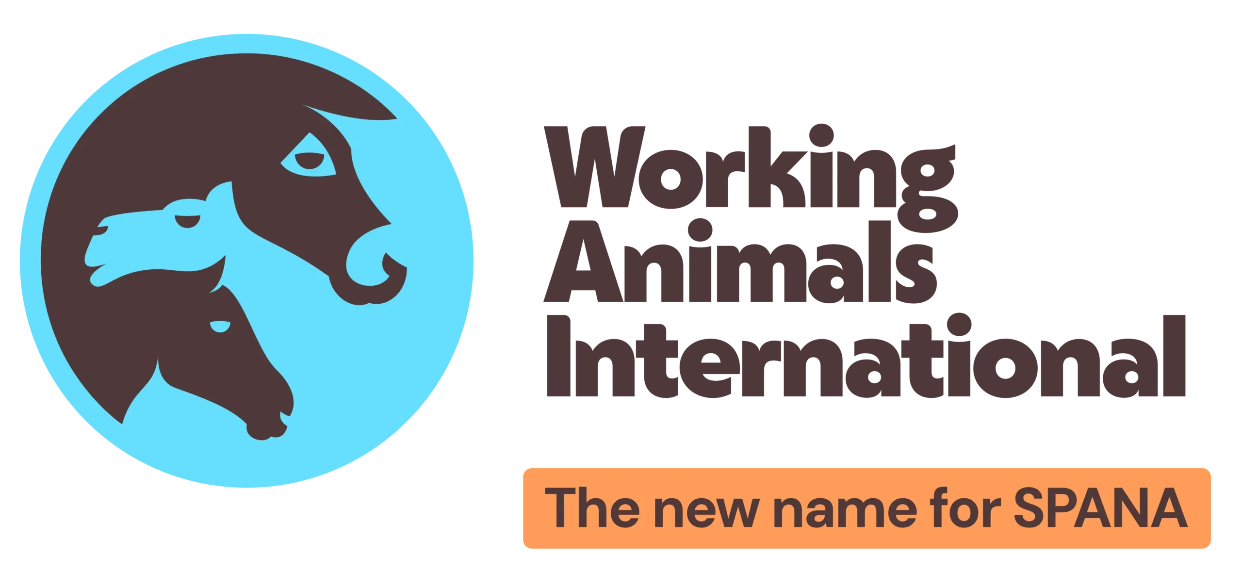 Working Animals International logo — the new name for SPANA