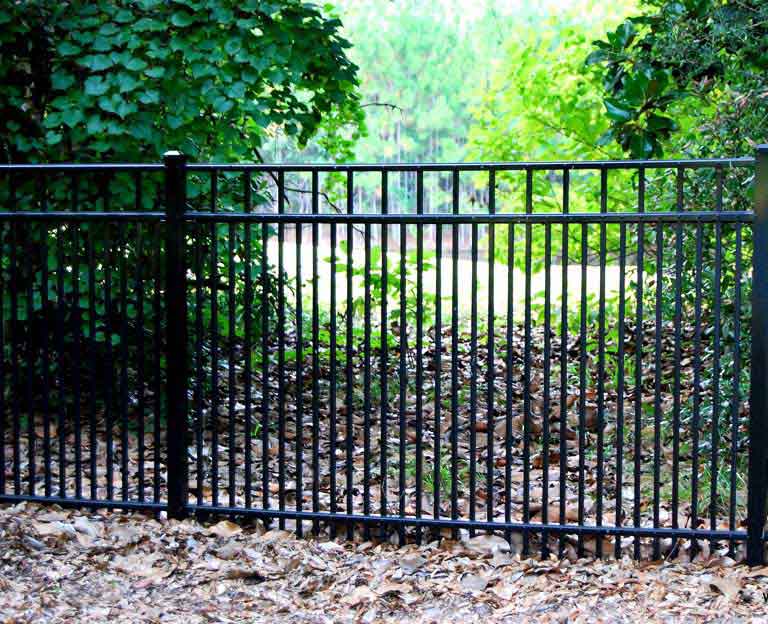 Backyard Security Fences