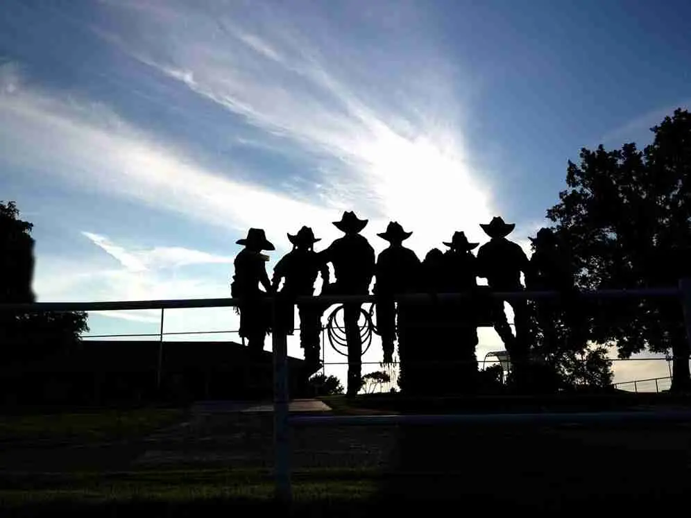 cowboys on wood fence