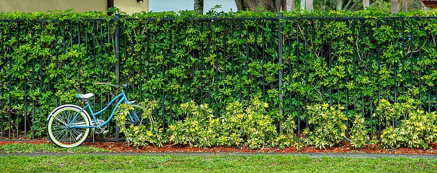 backyard fence