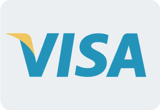 Visa Credit Card Logo